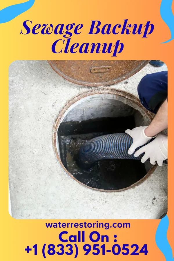 Sewage Backup Cleanup in Brush Creek, OK