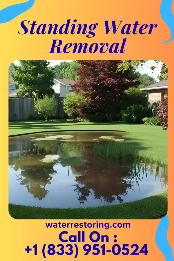 Standing Water Removal in Brush Creek, OK